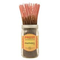 Wild Berry Incense Pack Of 100 Sticks-Incense-Wild Berry-Fantasia-Epic Head Shop