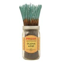Wild Berry Incense Pack Of 100 Sticks-Incense-Wild Berry-Ocean Wind-Epic Head Shop